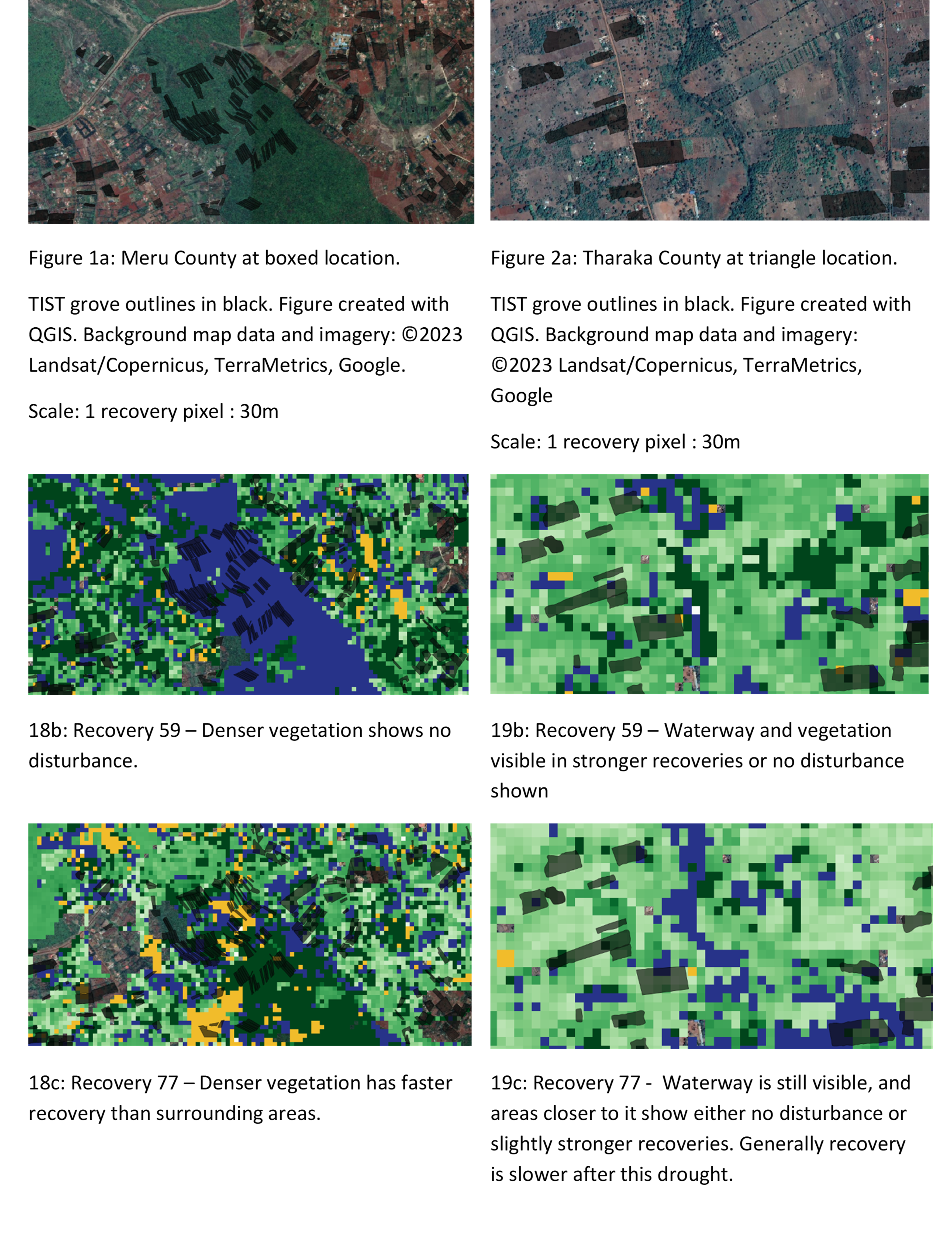 examples
